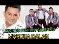 Download Lagu ARVINDO SIMATUPANG FEAT BOY GABE TRIO - COVER MARDUA DALAN CIPT JEN MANURUNG