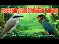 Download Lagu Fuuul tembakan jingjing petulak dan Tengkek Buto 🔥🔥🔥