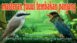 fuuul tembakan jingjing petulak dan tengkek buto 