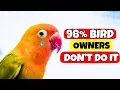 Download Lagu 7 Things Birds Love and 98% of Owners DON'T DO IT