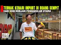 Lagu Ternak Kenari Impor Gacor, 2 Bulan Langsung Panen \u0026 Hasilkan Jutaan Rupiah Tiap Bulannya Dari Anakan