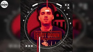 blaqstorm the shutdown