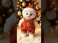 Lagu This Kitty Sings ‘We Wish You a Merry Christmas’! 🧑‍🎄🎶❤️ #shortscat