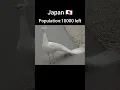 Download Lagu Peacock population of each country #viralvideo #youtubeshorts