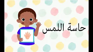 حاسة اللمس 
