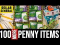 Dollar General 100 MORE SURPRISE PENNY ITEMS