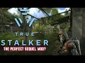 Download Lagu This mod is fantastic! True S.T.A.L.K.E.R. Review