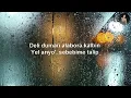 Sezer Sarıgöz & Tekir - Sarılsak Mı Artık (Lyrics/Sözleri) || Yaz Gülü, Celladına Aşık,... || Mix