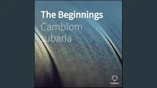 the beginnings