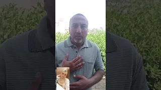 في واقعة م روعة    الع ثور على جث  تي زوج ين داخل منزلهما بالشرقية     أسرة الزوجة تروي التفاصيل دندنها