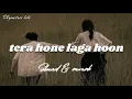 Tera Hone Laga Hoon (Slowed Reverb) — Soothing Hindi Love Song
