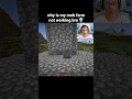 Minecraft Mob Farm Moment