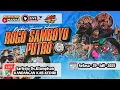 Download Lagu Live Jaranan ROGO SAMBOYO PUTRO Live Sarirejo Klampisan Kandangan Kediri SHF AUDIO