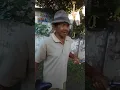 Download Lagu Mlaku mlaku karo jagongan cetok tonggoku