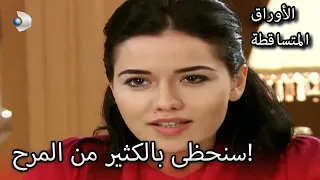 حاول إقناع نكلا بالسينما     الأوراق المتساقطة   الحلقة     دندنها
