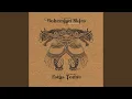 Download Lagu The Song of the Golden Dragon