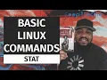 Stat View Status of Files and Directories