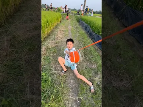 Thả diều bạn trẻ giữ dây diều dù bị diều kéo nhưng không buông tay… #kite #layangan #patang #diềusáo