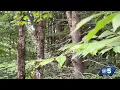 Local services for potential storm damage across Vermont