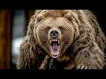 The 14-Foot Bear That Made Even Polar Bears Look Small! | Full Documentary