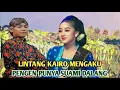 Download Lagu LINTANG KAIRO MENGAKU PENGEN PUNYA SUAMI DALANG DARI JOGJA 