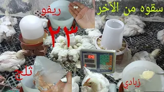 اقسم بالله سقوه ضد النهجان والحر والاحتباس الحراري وزن الفراخ كيلو ونص تعقيم المكان بالجير 