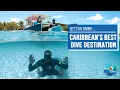 Download Lagu Eco Dive - GRENADA | Caribbean's Best Dive Destination | Must Visit on your TRAVEL \u0026 DIVE BucketList