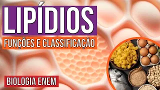 LIPÍDIOS: funções e classificação | Resumo de Biologia para o Enem | Cláudia de Souza Aguiar