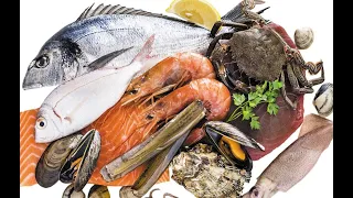 English Halal Haram Fish Seafood Sheikh Mohammed Al Hilli 