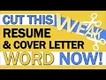 Resume Synonyms For Experience How To Describe Your Experience More Effectively