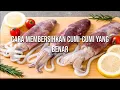 Lagu Cara Membersihkan Cumi-cumi Yang Benar