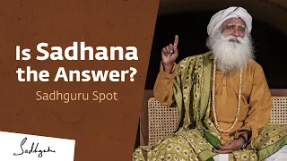 Is Sadhana the Answer | Sadhguru Spot