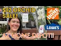 11 98 HUGE ORCHID SALE AT HOME DEPOT Big Box Plant Shopping for Houseplants at Lowe s Home Depot
