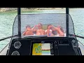 new zealand vlog