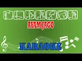 Lagu Ayam Jago Karaoke
