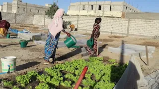 Capitalisation AGRIFEM ACCEM 2026