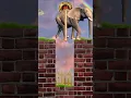 Download Lagu Ya Rob Bibil Mustafa ♥️ #shorts #videoshort #animals #allah