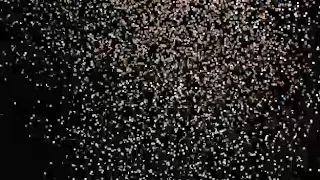 احمد نور اغنيه يازين يا ولد الزين 