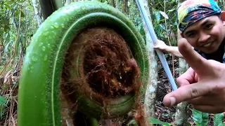 E II Hikers Mount Wakid