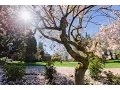 Spring at Western
