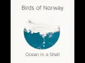 Ocean In A Shell - Birds of Norway
