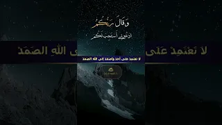 لا تعتمد على أحد آداء ظفر النتيفات 