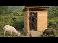 Lagu Building a wooden toilet | Pet care | Visiting an elderly single woman in the forest