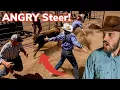 Roping a Lost Calf on Horses