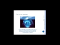 MAPPING TO THE CORE OF DYSLEXIA MASTERING PHONOLOGICAL PROCESSING AND RAPID AUTOM