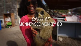 Winded Voyage 4 | Episode 67 | Monkey See Monkey Do