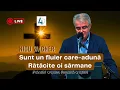 Download Lagu Sunt un firicel de floare - Nicu Wagner | Autor: Nicolae Moldoveanu | O mărturisire a smereniei