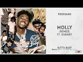Foogiano - "MOLLY [Remix]" Ft. DaBaby (Gutta Baby)
