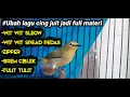 Download Lagu Masteran pleci nembak full isian Komplit Berkelas‼️Gacor pedas