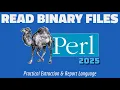 Perl Made Easy Read Binary Files Like a Pro 2025